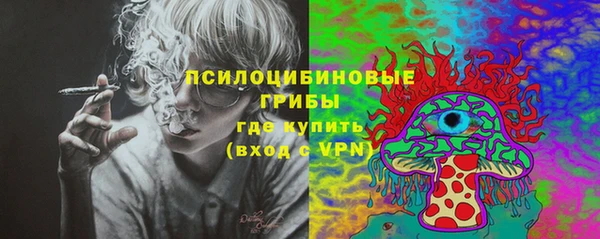 твердый Зерноград