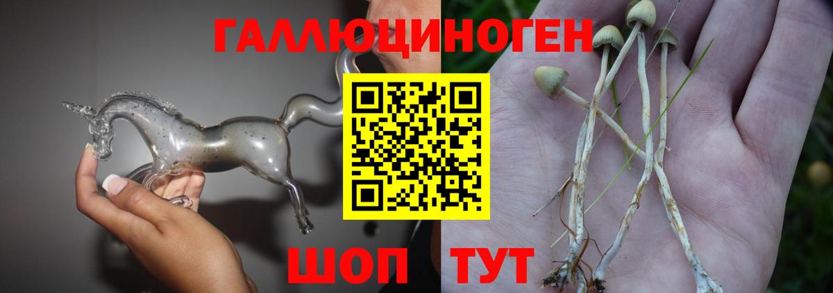Галлюциногенные грибы Psilocybine cubensis  дарнет шоп  Вход с VPN  Калининград  Псилоцибиновые грибы ЛСД 