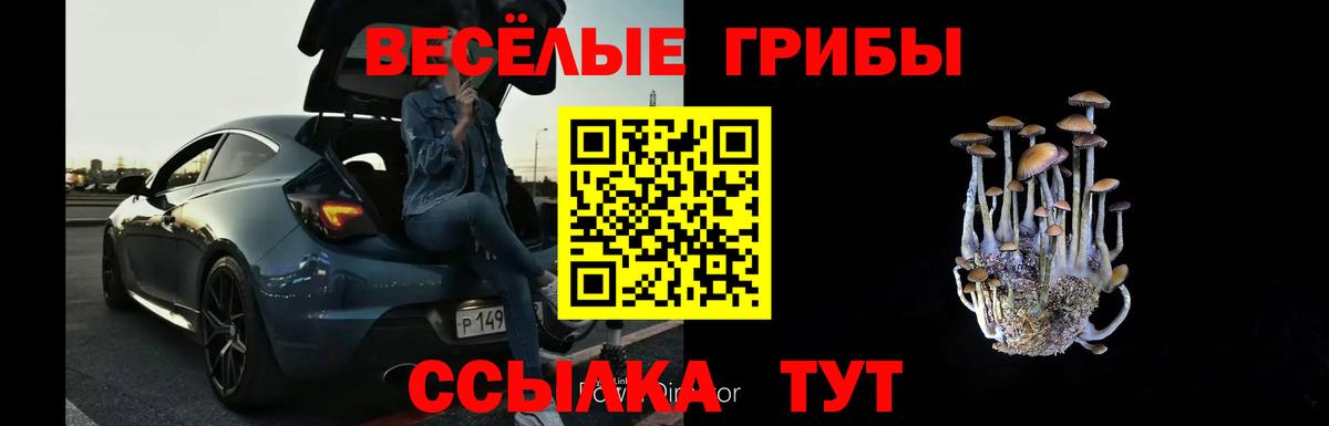 Галлюциногенные грибы ЛСД Калининград