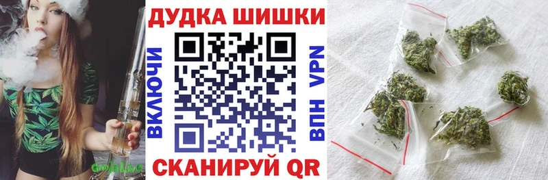 Конопля гибрид  Калининград 